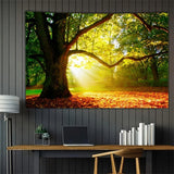 Koberec gobelín les plátno strom slunce nebe Home - Doplňky a dekorace Naty Shop 200L X 150B Cm