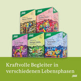 Salus - Čaj Krafttier - Brave Dragonfly - 1X 15 filtračních sáčků (24g) - Bylinný čaj s příchutí citronu - S třezalkou - Ochucený - Bio