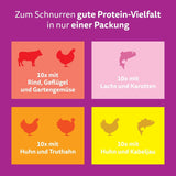 CHUTNÁ MIX WHISKAS Nassfutter v omáčce für Katzen 40 x 85 g Chef's Choice