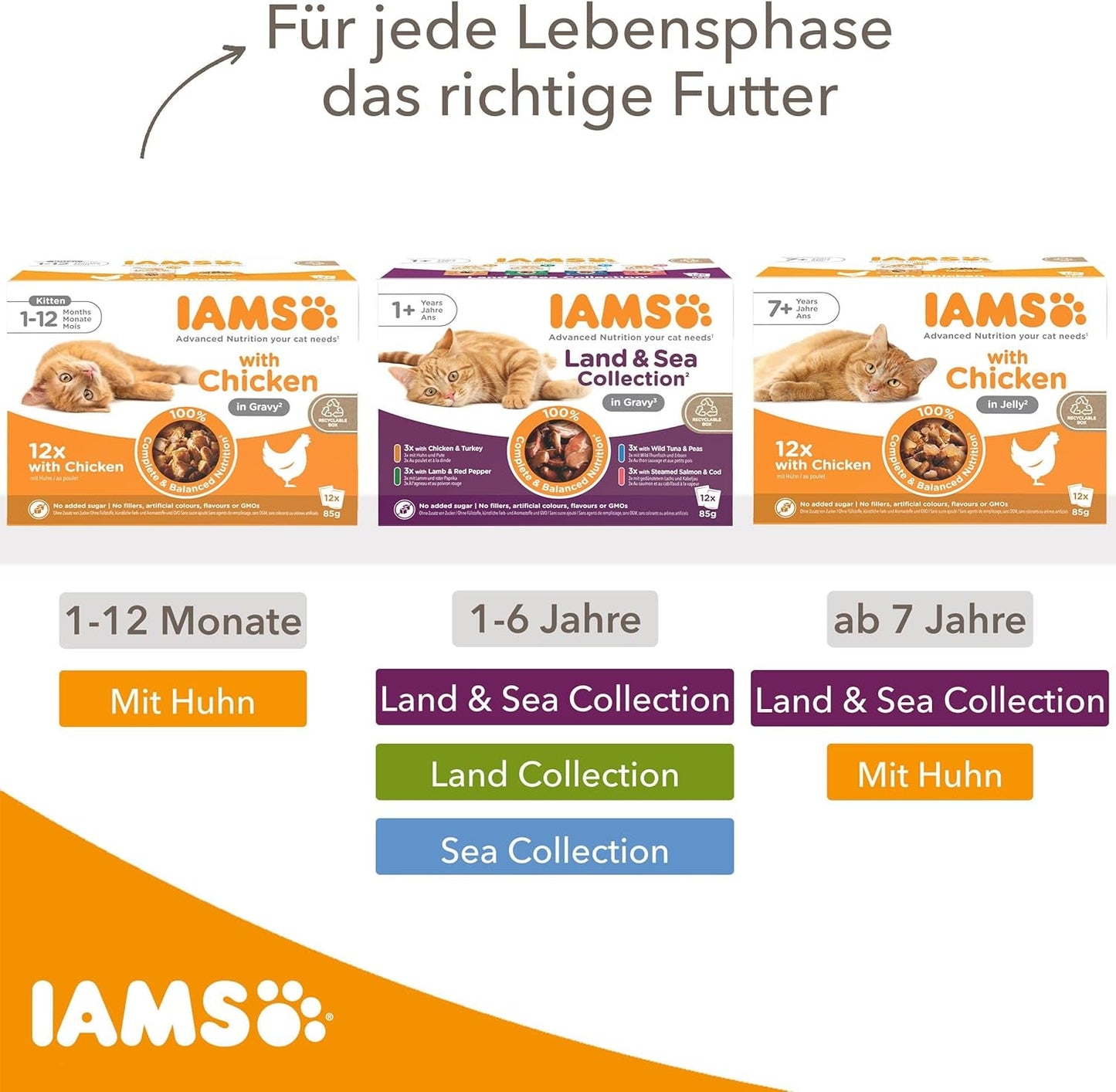 IAMS Delights Land Collection Mokré krmivo pro kočky - Multibalení s různými druhy masa (jehněčí, hovězí, kuřecí a krůtí) v omáčce, vlhké krmivo pro kočky od 1 roku, 12 x 85g
