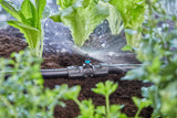 Gardena Micro-Drip-System T-kus pro rozprašovací trysky: Spojení mezi 13 mm trubicí a rozprašovací tryskou, automatické zavlažování rostlin, rychlé a snadné připojení, opakovaně použitelné (13206-20)