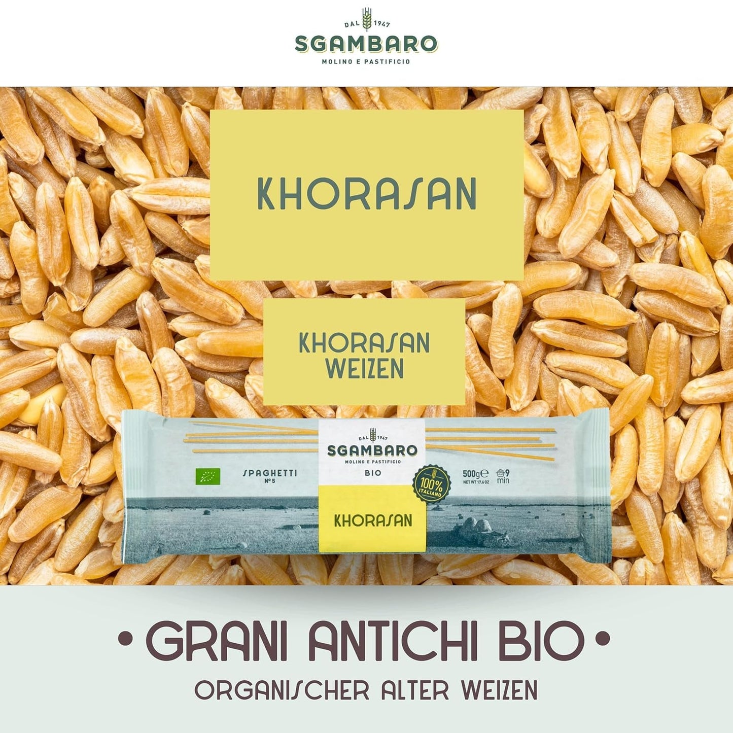 Bio těstoviny na špagety č. 5 – 500 g pšenice Khorasan – starověká pšenice, s vysokým obsahem bílkovin, 100% italsky pěstovaná – všestranná v kuchyni a bohatá na živiny
