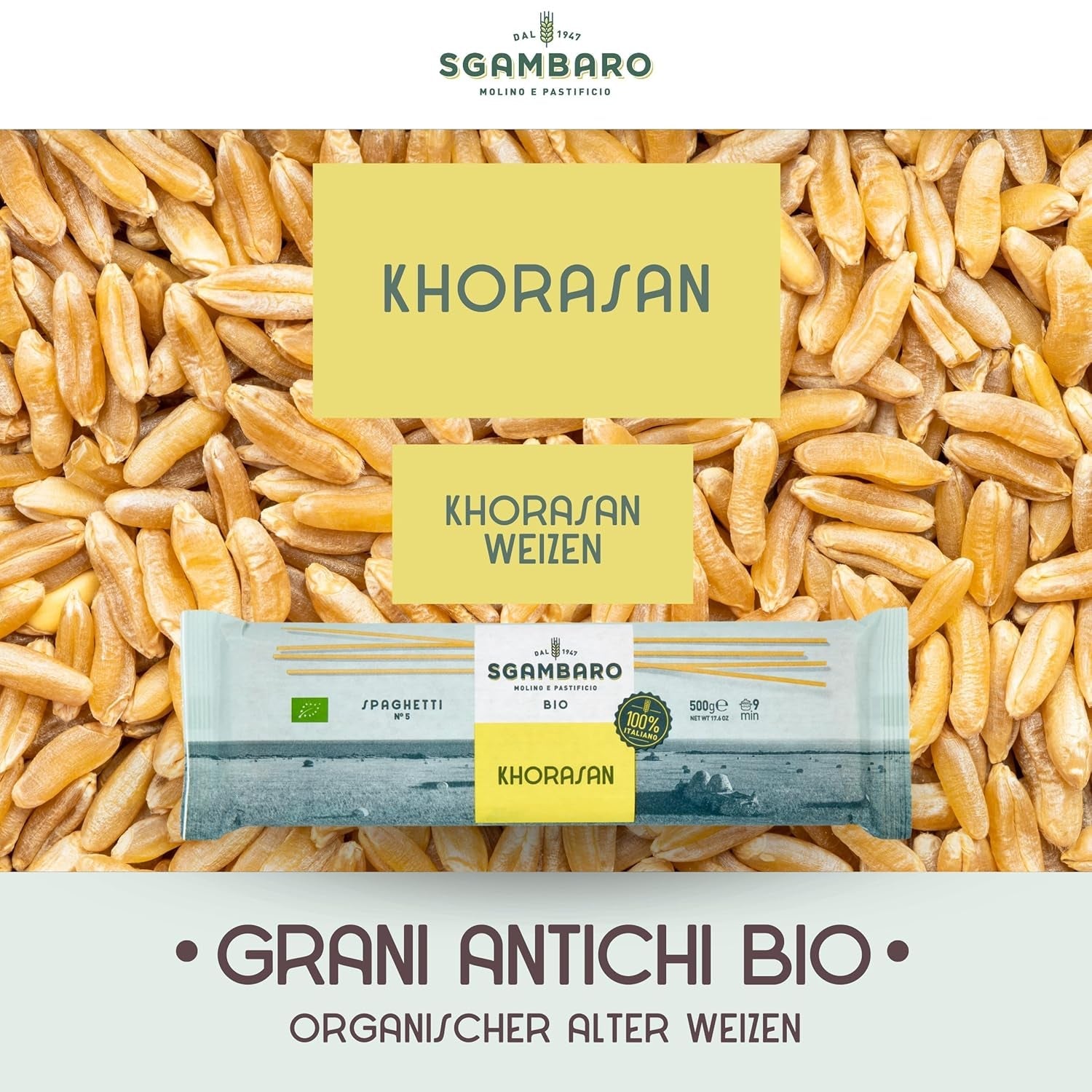 Bio těstoviny na špagety č. 5 – 500 g pšenice Khorasan – starověká pšenice, s vysokým obsahem bílkovin, 100% italsky pěstovaná – všestranná v kuchyni a bohatá na živiny