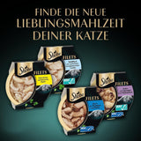 SHEBA Filé pro dospělé Katzenfutter v omáčce s kuřecím masem, Hochseefisch und Garnelen 16 x 60 g skořápka