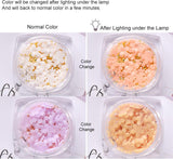 6 Box 3D Květinové Nagelkunst Charms, Acryl Flower Nagel Strass Mit Gold Und Silberperlen Ornamenten, Nagel Edelsteine, Nagel Zubehör Für Mädchen, Frauen, DIY Nageldesign, Basteldekoration…