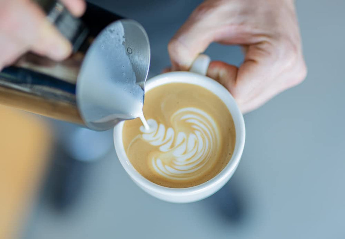 Wild At Heart Espresso | 250g Bohnenská husa poctivá a udržitelná | frisch geröstet | 100% Arabica Kaffeebohnen | speciální káva | 19 gramů Kaffeerösterei