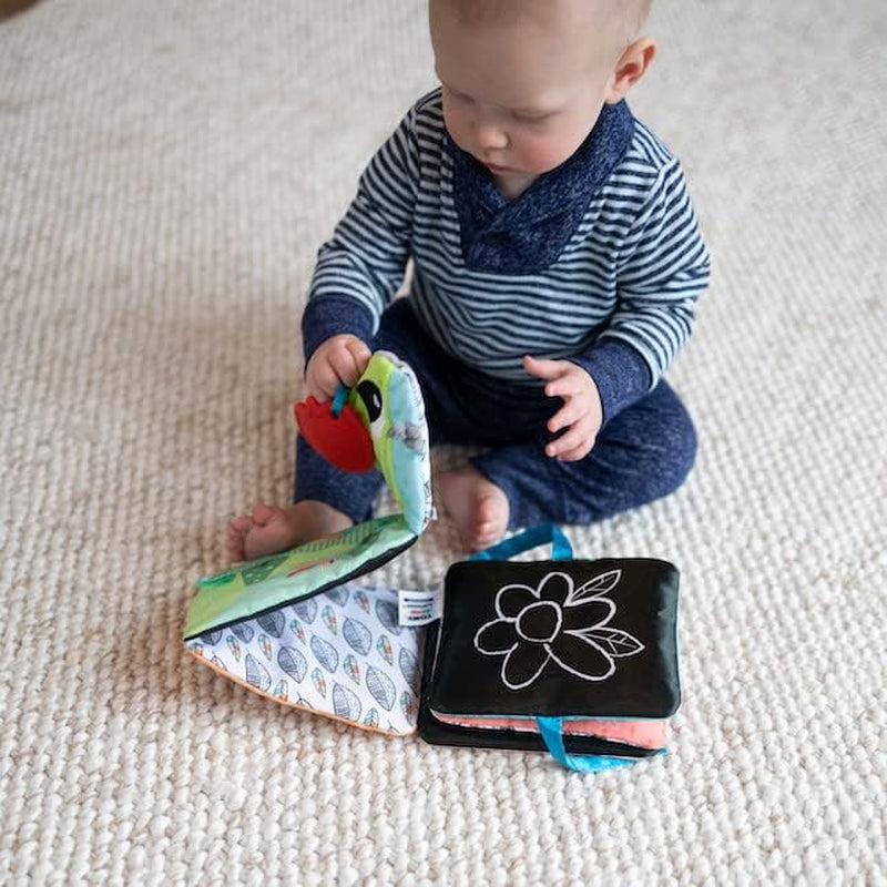 Lamaze Colorful Caterpillar Ride, hračka pro novorozence, smyslová hračka pro miminko s barvami a zvuky, vývojová hračka pro 6 měsíců pro chlapce a dívky, L27463 Hračky pro miminka Naty Shop