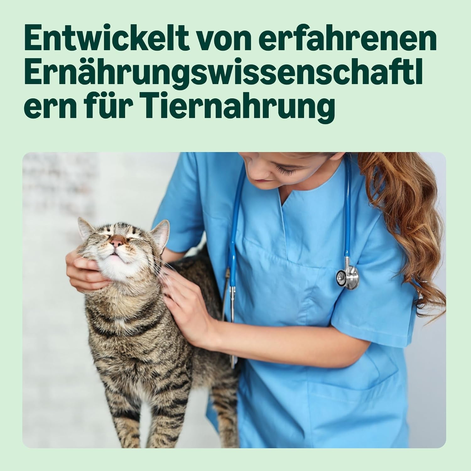 od Amazon Katzenfutter, nass, Dose, Stücke mit Geflügel in Sauce, 12 x 415 g