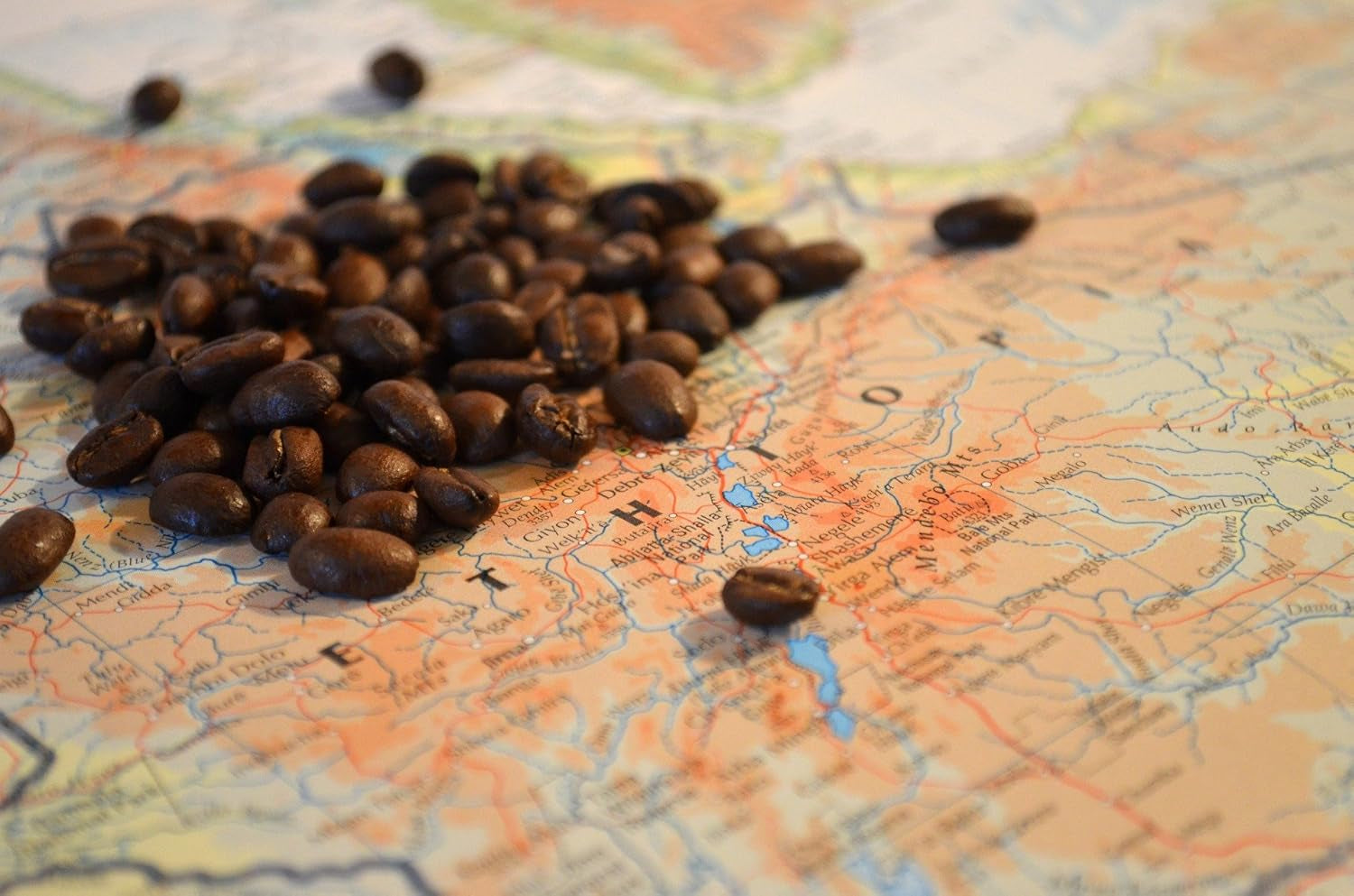 C&T Coffee Rarity - Divoká káva z Etiopie, Afrika | 1000 g kávy (celá zrna) – silná a ovocná | + Divoce pěstované + Ručně sbírané + Sušené na slunci + Lehce pražené