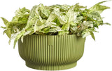 elho Vibes Fold Bowl 25 - Vnitřní květináče - 100% recyklovaný plast - Ø 24,9 x V 12,1 cm - Zelená/Ferngrün