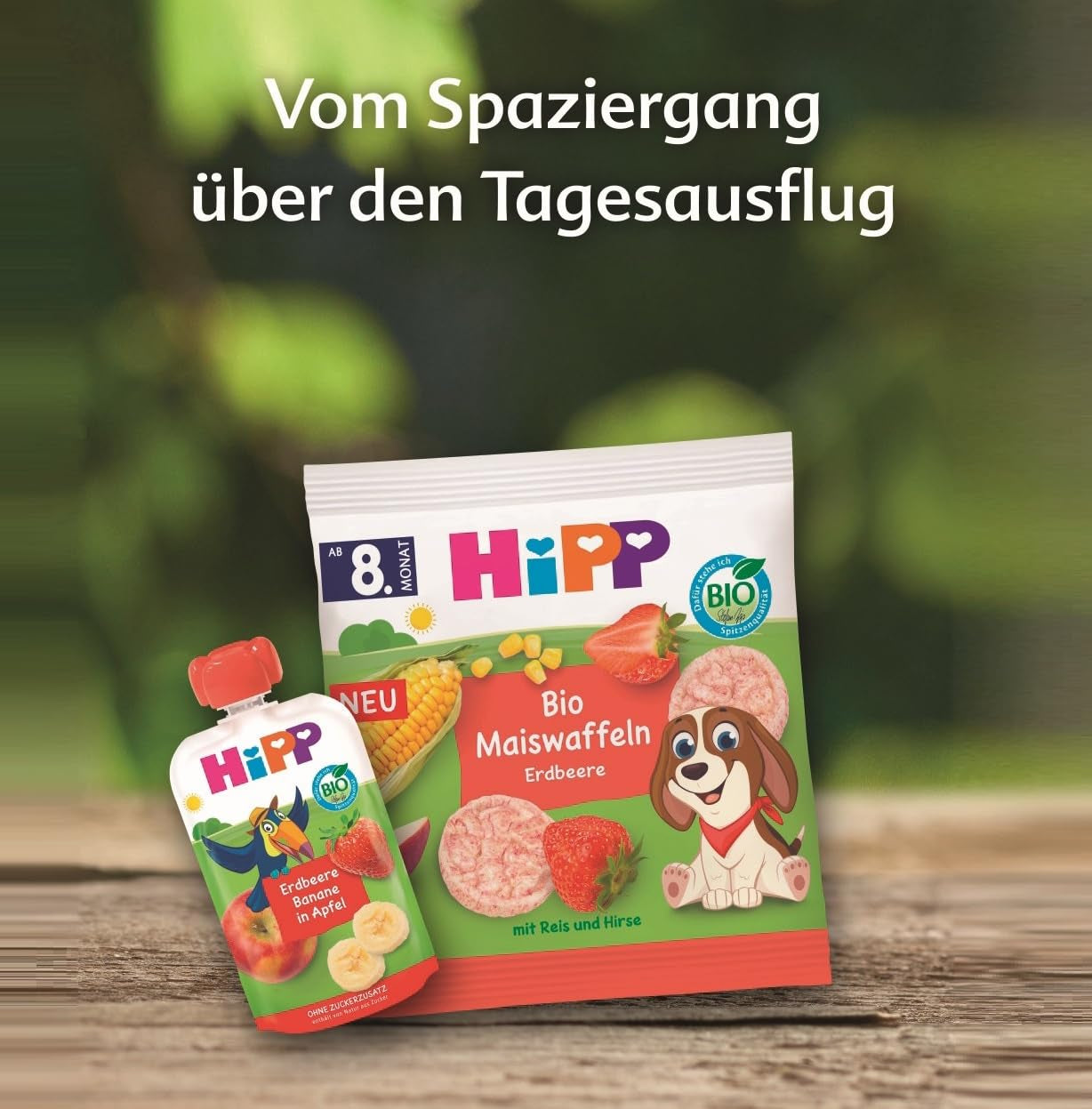 HiPP Mini sušenky ovesné vanilkové srdce (12 x 40 g), od 1 roku, bio svačina ve tvaru srdce, s vysokým obsahem cereálií a vlákniny, slazené pouze ovocem, v nejlepší bio kvalitě