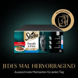 Sheba CATCARE sáček Wet Fresh & FINE (ryby) kousky v omáčce Dospělý 50 g Vícebalení Standard