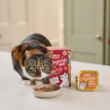 Přírodní ingredience Lily's Kitchen Mokré krmivo pro dospělé kočky Multi-Tay Pack Organic Spot Grain Free 4 x (8 x 85 g)