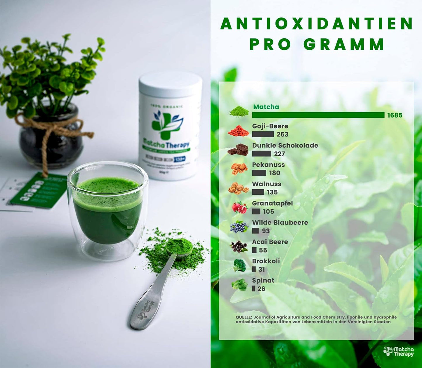Matcha terapie 30+ | Organický prášek Matcha Tea | 60 g | S ověřeným obsahem minimálně 30 mg/g katechinu EGCG | Podporuje imunitní systém a energetickou hladinu | Slavnostní kvalita | Zelený čaj z Japonska