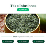 Bio japonský zelený čaj Gyokuro (100 g) | Prémiový sypaný čaj | Rafinovaná chuť umami a jemná sladkost | PŘESADIT