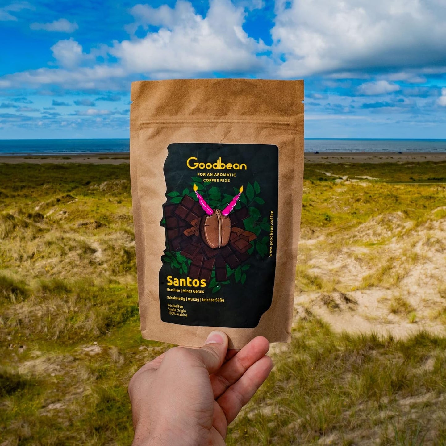 Santos | Kávová zrna 2500g - 100% Arabica z Brazílie | pro espresso, cappuccino nebo silnou filtrovanou kávu | Všestranná pečeně | Klasická káva – perfektní úvod do speciální kávy