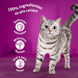 Whiskas Nassfutter für ausgewachsene Katzen, Fischhauswahl in Jelly (multipack, 4 x 12 x 85 g)