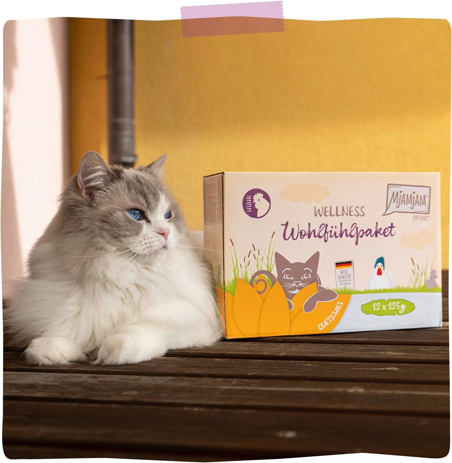 MjAMjAM - prémiové mokré krmivo pro kočky - kuřecí wellness balíček 12 balení (12 x 125 g) bez obilovin s extra masem