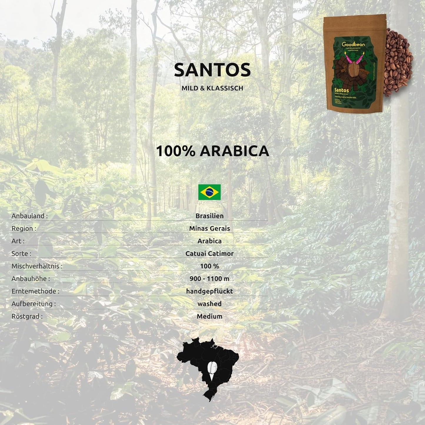 Santos | Kávová zrna 2500g - 100% Arabica z Brazílie | pro espresso, cappuccino nebo silnou filtrovanou kávu | Všestranná pečeně | Klasická káva – perfektní úvod do speciální kávy