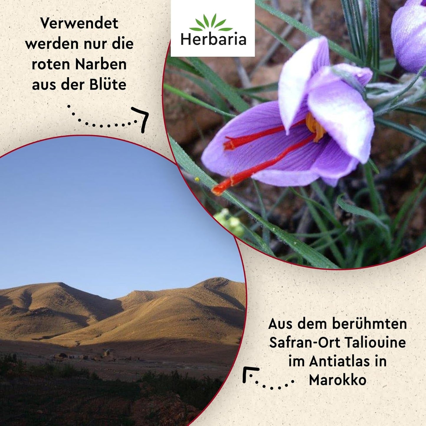 Herbaria Safran-Fäden bio 0,5g im Glas – Bio Saffron-Fäden aus dem Bericht Safran-Ort Taliouine v Maroku – Safranfäden v Premium Bio-Qualität – Saffron Premium - Safran première kategorie