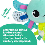 LAMAZE Alise Axolotl - Clip & Go kočárek - Smyslové hračky pro miminka - 0-6 měsíců Hračky pro rané učení - Odborně navrženo pro novorozence - Dárky pro miminka Bebe Naty Shop Toys