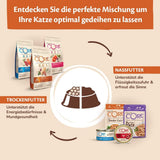 Wellness CORE Signature Selects 8 x 79 g, kuřecí a krůtí směs - mokré krmivo pro kočky, lahodné proužky v omáčce, bez obilovin, přírodní, hypoalergenní, s vysokým obsahem bílkovin, s vysokým obsahem masa