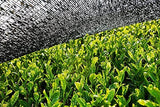 BIO Matcha prášek 100 g I Bez přísad - 100% přírodní I Prémiový japonský Matcha čaj I Prášek ze zeleného čaje od