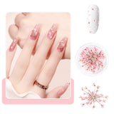 Nail Art Flower Set Decoration - Gelnägel Zubehör 3 Farben (oranžová, Blassrosa, Rose), Nail Art Aufkleber Trockene Blumen Kit Getrocknete Blumen Zubehör Set DIY Nageldekoration