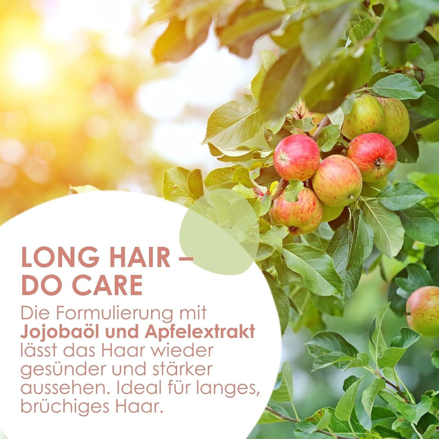 Jean & Len Care Shampoo Jojoba & Apple, vyživuje dlouhé a křehké vlasy, 300 ml Sprcha a koupel Jean & Len