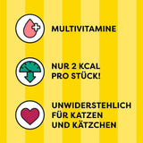 DREAMIES SHAKE UPS Multivitamin Seafood Festival kočičí pamlsky v porcovaných sáčcích – 55 g (6 sáčků)