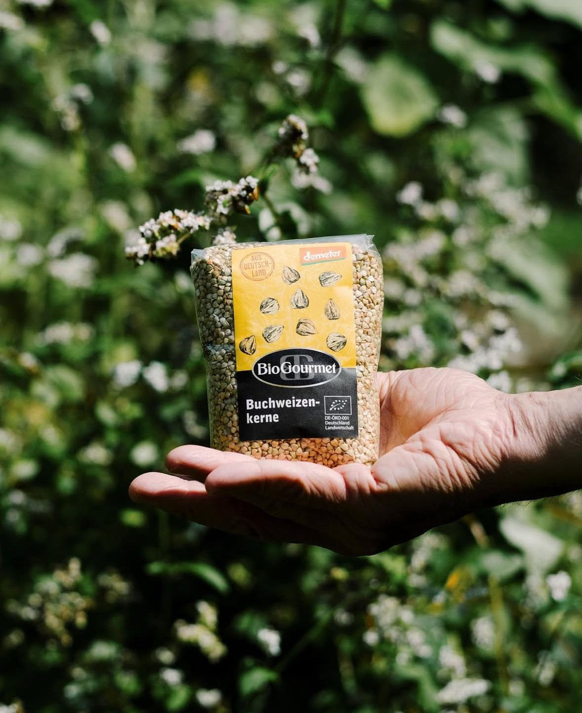 Pohanka BioGourmet Demeter – 500g sáček | Bezlepkové, s vysokým obsahem vlákniny a regionální | Z německého ekologického zemědělství (Bádensko-Württembersko/Bavorsko) | Ideální do müsli, salátů a příloh