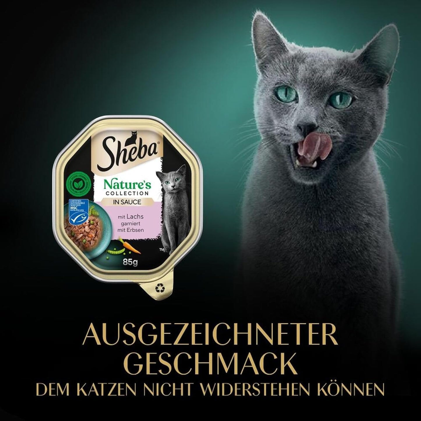 SHEBA Mokré krmivo pro kočky, Nature's Collection v lososové omáčce, 2 x 11 x 85 g