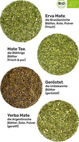 Degustační sada čaje maté ● 4 druhy organického čaje maté ● 100 g Erva maté + Yerba maté + zelený čaj maté + pečený čaj maté