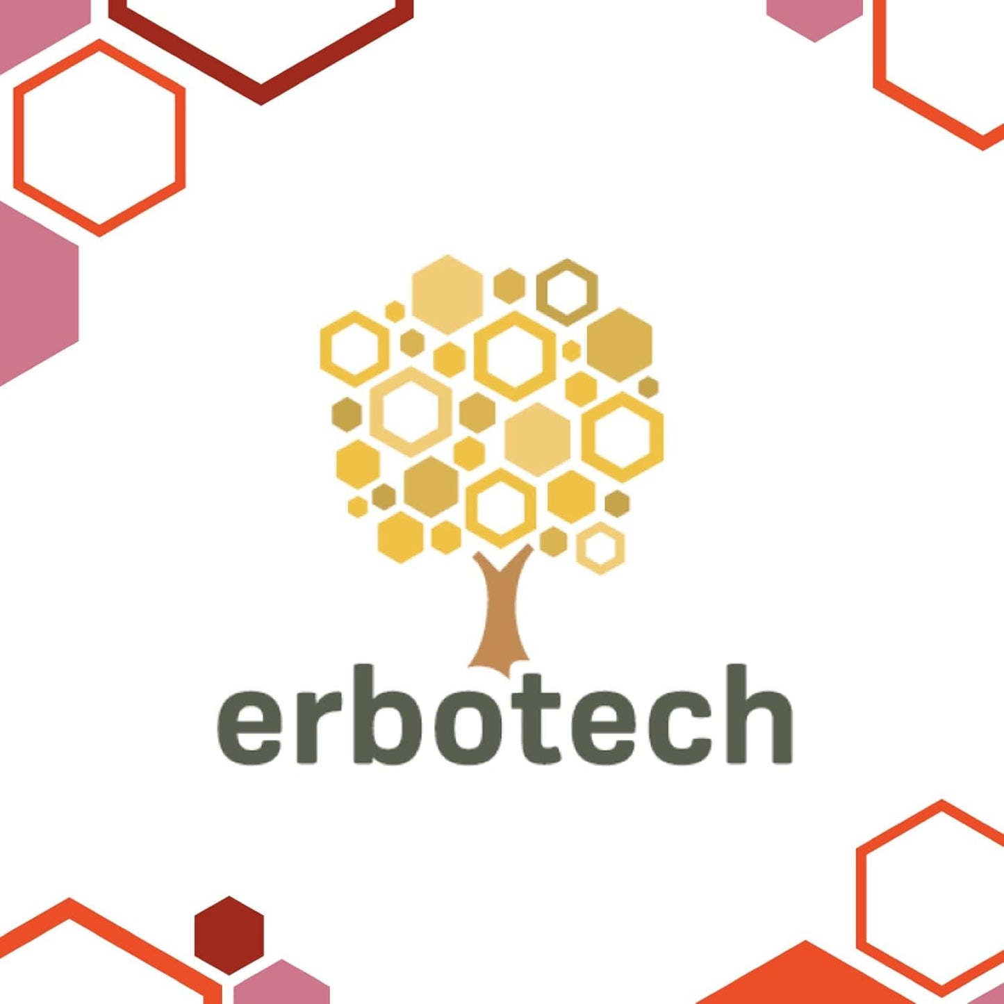 ERBOTECH Goji Berries 200 g, bobule goji s vysokým obsahem vitamínů, sušené ovoce bez cukru a síry, přírodní superpotraviny a bohaté na energii, Made in Italy Dehydrované produkty Naty Shop
