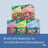 Salus - Čaj Krafttier - The Quiet Cat - 1X 15 filtračních sáčků (28,5 g) - Mátový bylinný čaj s Ashwagandhou - BIO