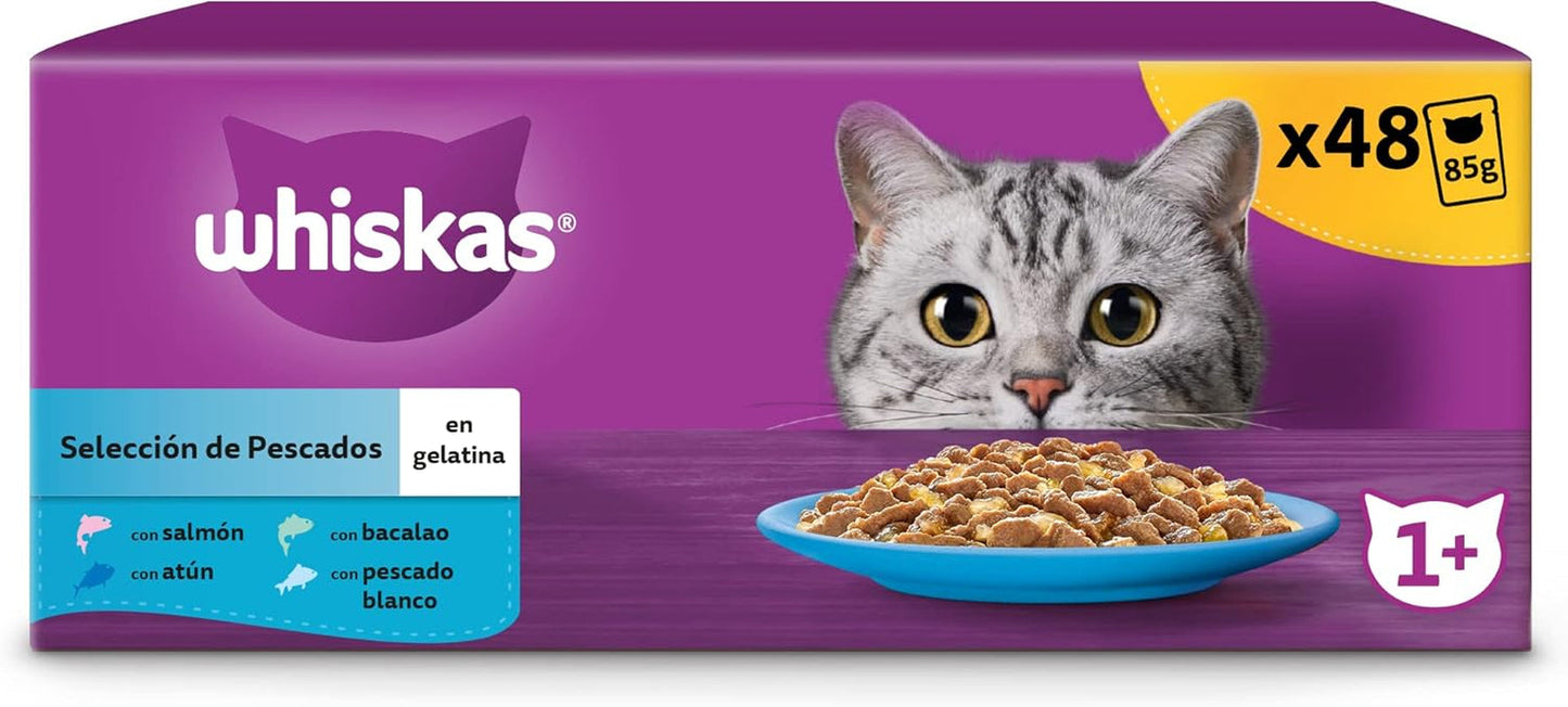 Whiskas Nassfutter für ausgewachsene Katzen, Fischhauswahl in Jelly (multipack, 4 x 12 x 85 g)