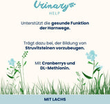 almo nature Functional Urinary Help - Mokré krmivo pro dospělé kočky s lososem - Podporuje zdraví močových cest - 30 sáčků po 70 g