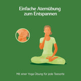 Yogi Tea - Tulsi Serenity Organický bylinný ajurvédský čaj Přírodní Tulsi směs bez kofeinu "Svatá" Bazalka Lékořice & Pomeranč Yogi Tea 3 balení 3 x 17 čajových sáčků (51 čajových sáčků)