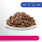 Perfect Fit Adult 1+ výběr mokrého krmiva s lososem, hlubinnými rybami, hovězím a kuřecím masem, 48 sáčků, 12x85g (balení po 4 ks) - Prémiové vlhké krmivo pro dospělé kočky od 1 roku věku