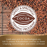 Bar Crème Brûlée Lindt Chocolate Creation | Crème Brûlée náplň s křupavým karamelem, přelitá tou nejjemnější mléčnou čokoládou | Čokoládová tyčinka | Čokoládový dárek, 150g
