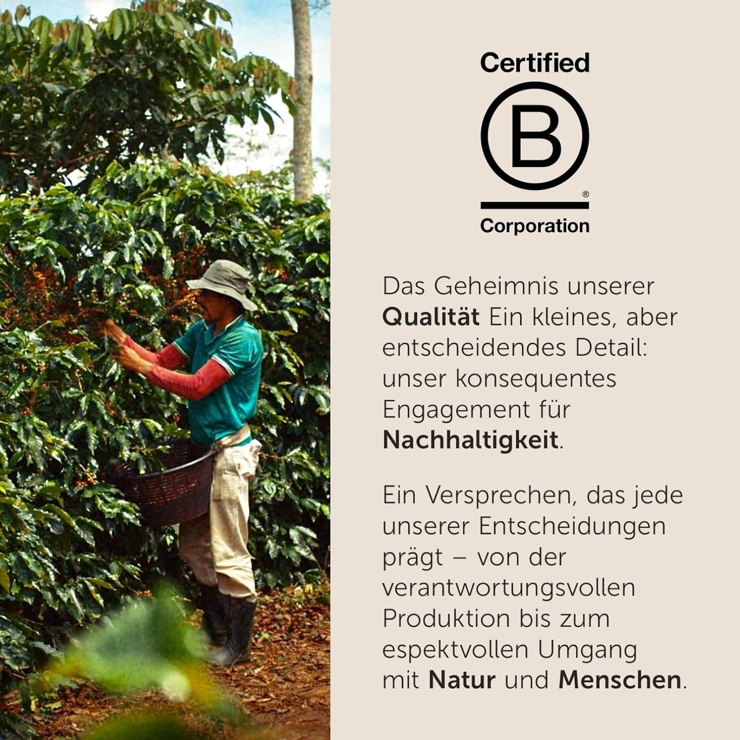 illy, Kaffeebohnen Arabica Selection Costa Rica, 100% Arabica s karamelem, čokoládou a vanillenoten, süßer Gesmack, 1 dávka s 250 g