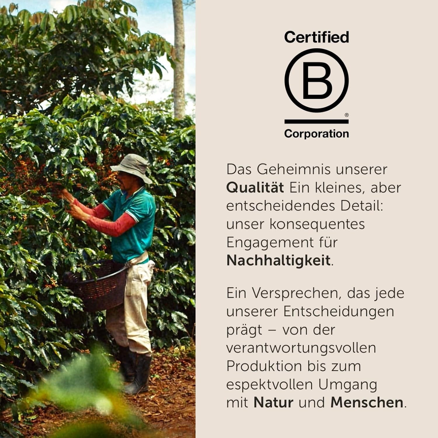 illy, Kaffeebohnen Arabica Selection Costa Rica, 100% Arabica s karamelem, čokoládou a vanillenoten, süßer Gesmack, 1 dávka s 250 g