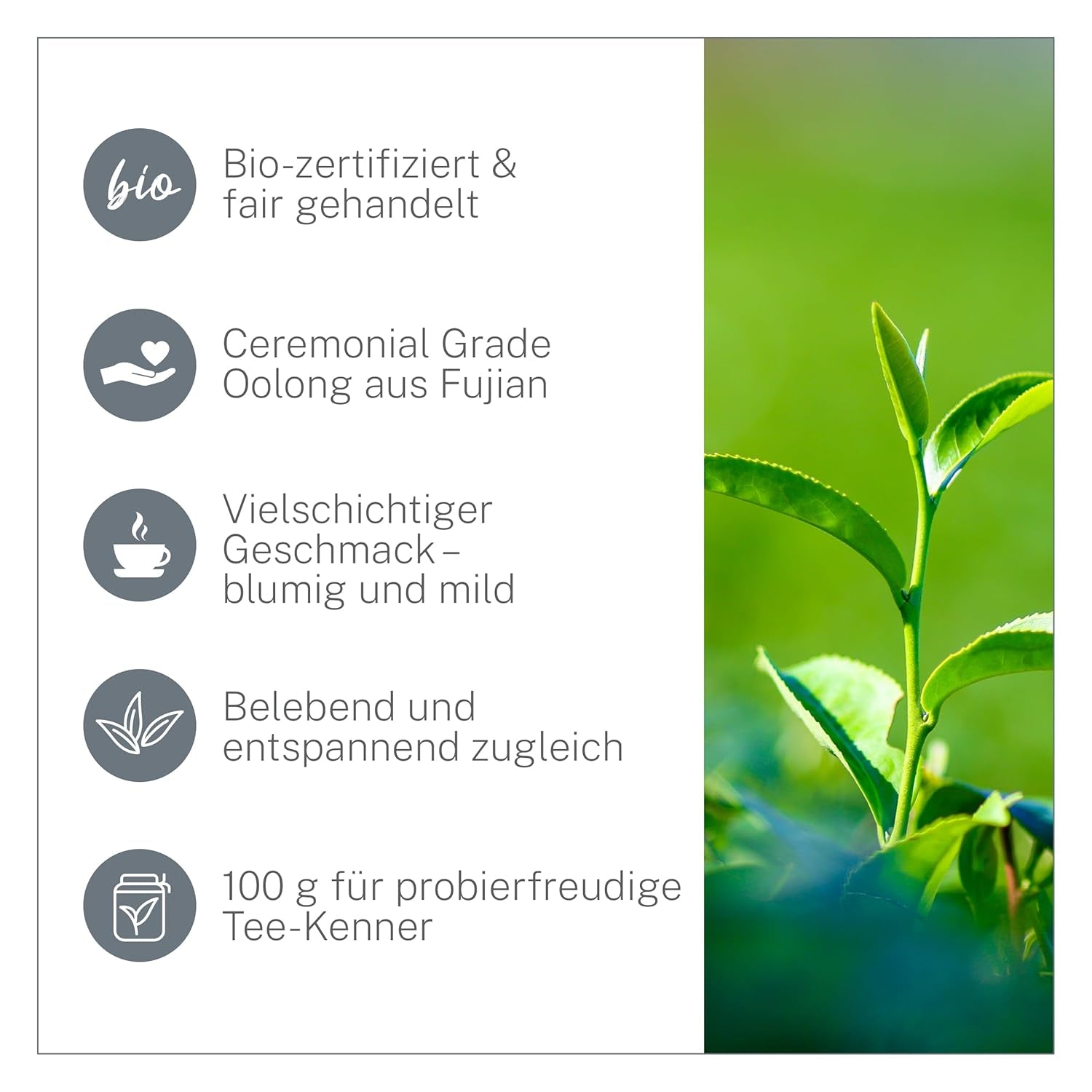 Ti Guan Yin Bio Oolong Tea 100g - Vysoce kvalitní organický čaj Oolong z Číny - Wu Long (Ceremonial Grade) - Pro milovníky čaje a znalce - Mycupoftea