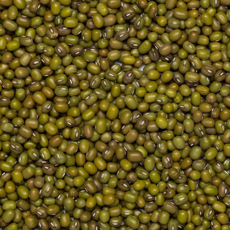 Celozrnné mungo fazole Earth Bio 2kg | Bez GMO | Vegan | Bohaté na vlákninu | Bohaté na bílkoviny | Certifikované organické