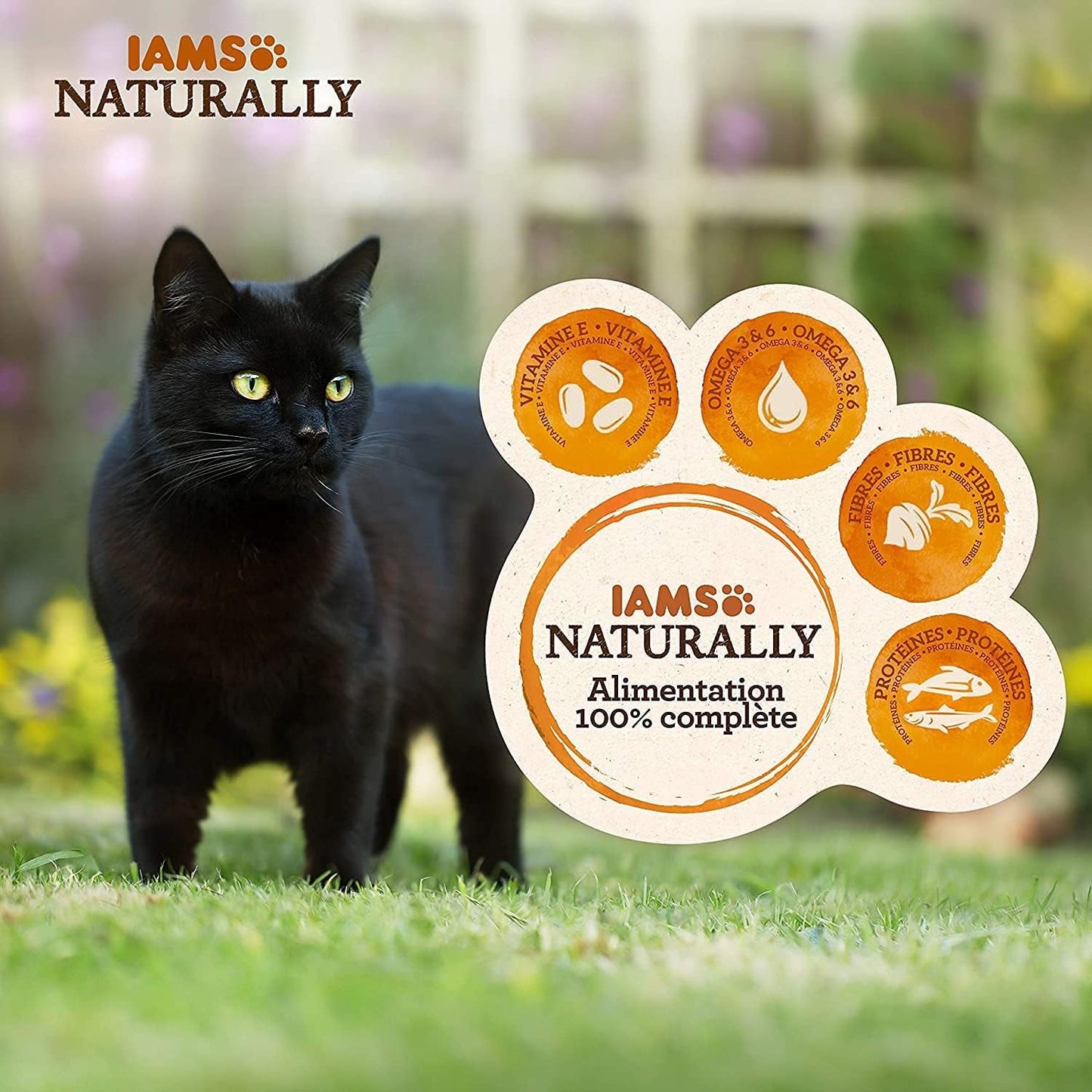 IAMS Přírodní mokré krmivo pro kočky v omáčce – vysoce kvalitní mokré krmivo s rybami pro dospělé kočky, Sea Collection, 12 x 85 g