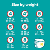 Plenky Pampers Baby-Dry, velikost 8, 22 jednotek, 19 kg+