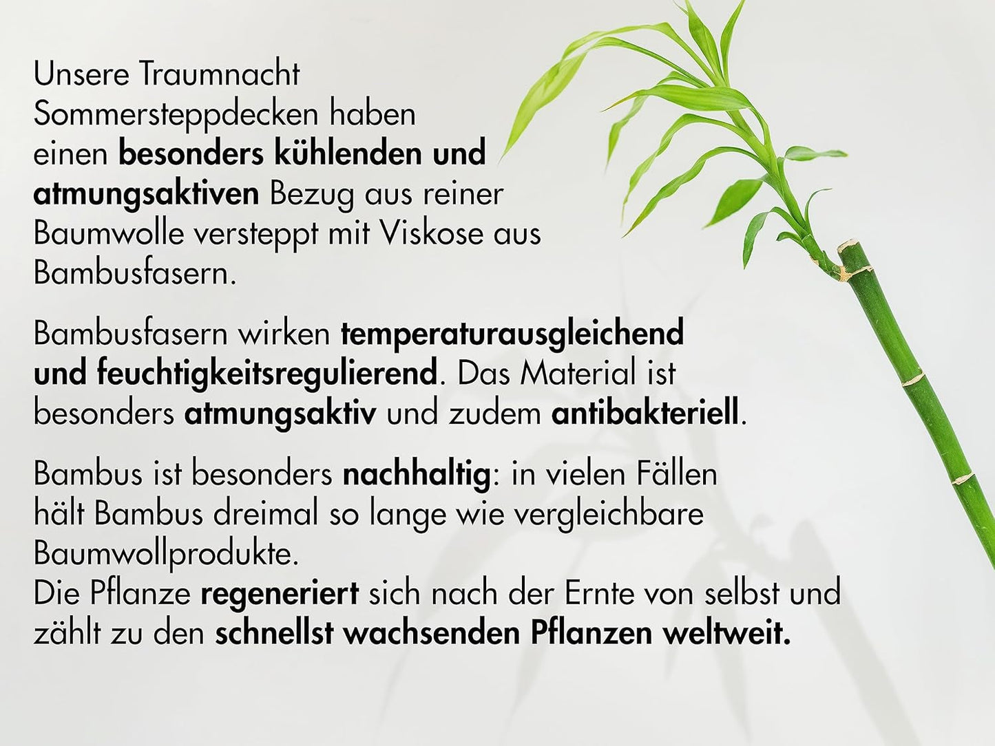 Traumnacht Bamboo polštář s bambusovými vlákny, hypoalergenní, antibakteriální Sada polštářů se zipem, skládající se ze 2 polštářů 40X80Cm, certifikováno Oeko-Tex, vyvinuto v Německu Standardní polštáře Naty Shop