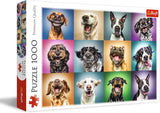 Skládačka - "1000" - Vtipné psí portréty Puzzle Naty Shop Vtipné psí portréty