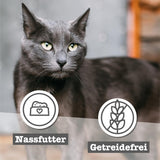 catz finefood Senior Collection Katzenfutter nass - Premium Nassfutter für Ihre Senior Katze - getreidefrei, bez Zucker, hoher Fleischanteil, Vitamine & Mineralien (6 x 200g dávka)