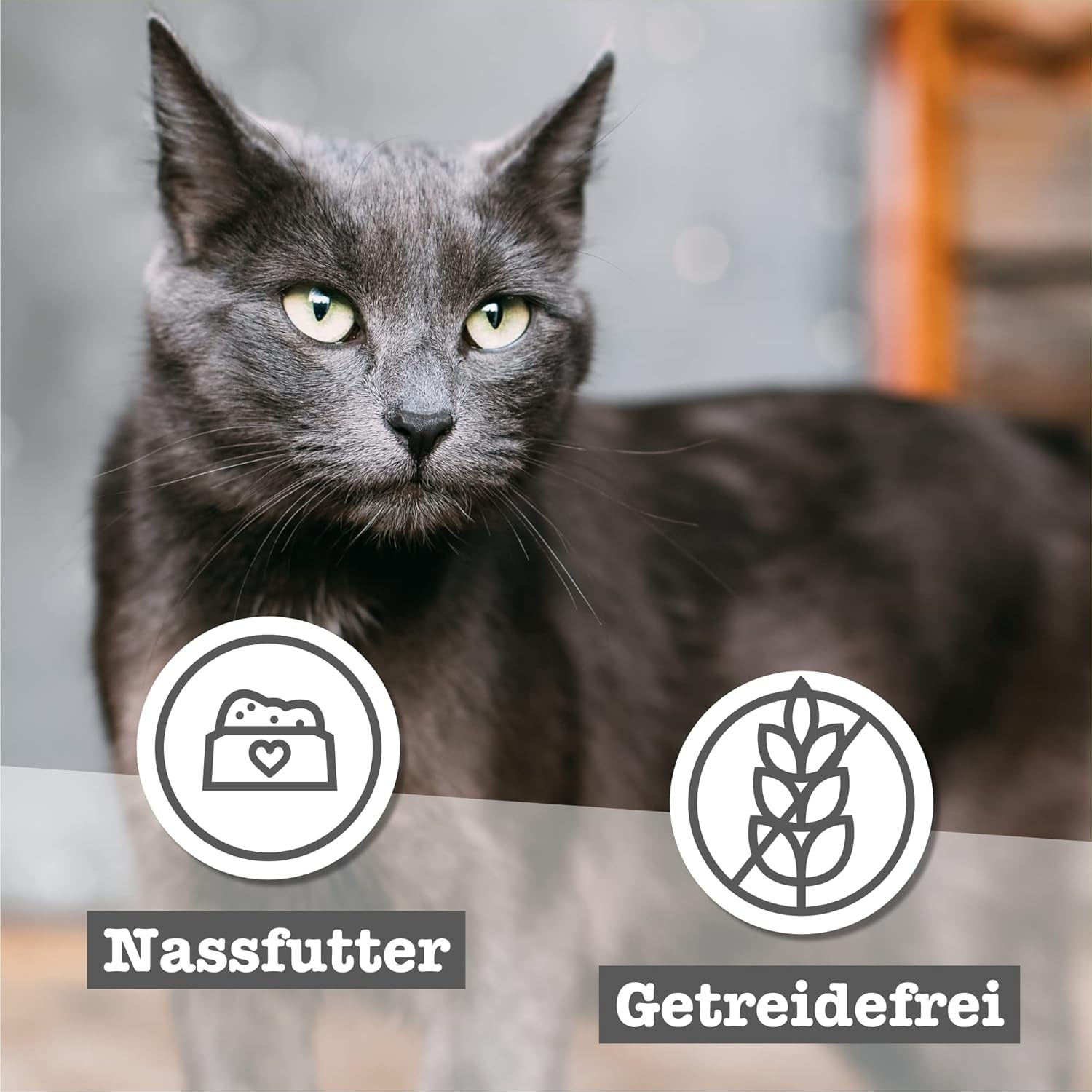 catz finefood Senior Collection Katzenfutter nass - Premium Nassfutter für Ihre Senior Katze - getreidefrei, bez Zucker, hoher Fleischanteil, Vitamine & Mineralien (6 x 200g dávka)